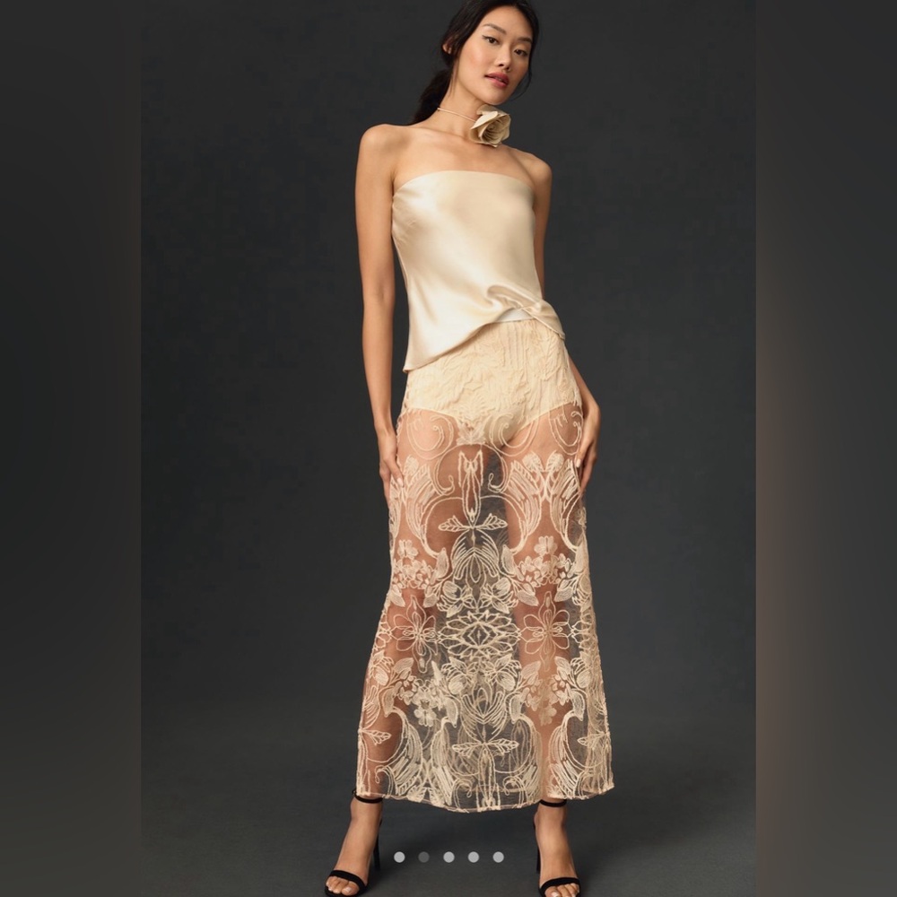 By Anthropologie Cream Sheer Embroidered Skirt NWT